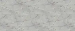 Каспий Серый 3087